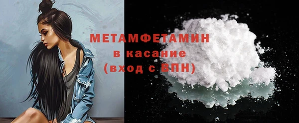 шишки Заволжье