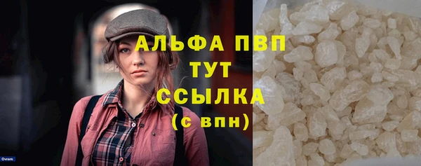 шишки Заволжье