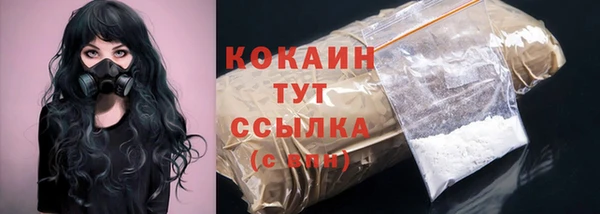первитин Заводоуковск