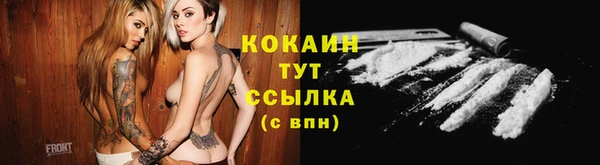 первитин Заводоуковск