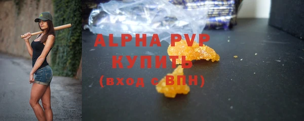 шишки Заволжье