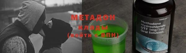шишки Заволжье