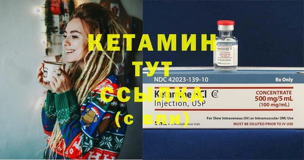 шишки Заволжье
