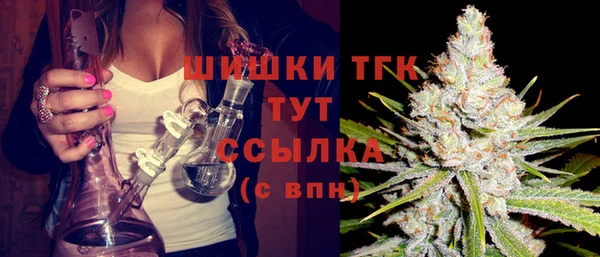 шишки Заволжье