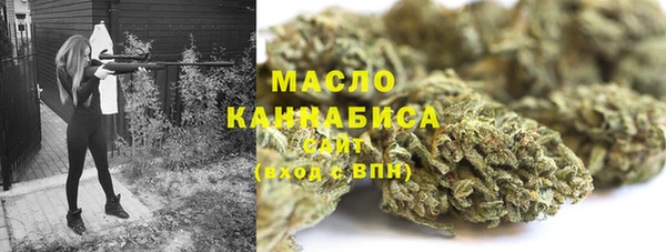 шишки Заволжье
