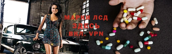 шишки Заволжье