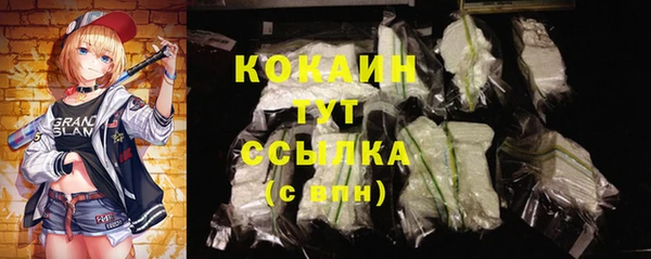 первитин Заводоуковск
