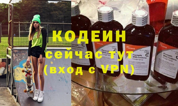 шишки Заволжье