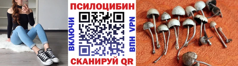 Галлюциногенные грибы мицелий  Купить закладки  Элиста 